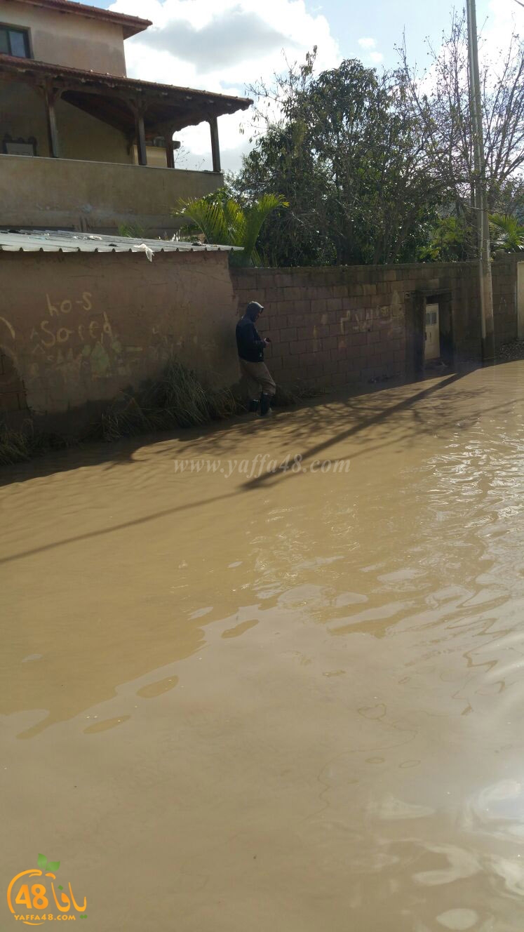 dahmash raeinina (5).jpg